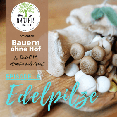 episode Episode 18 - Edelpilze artwork