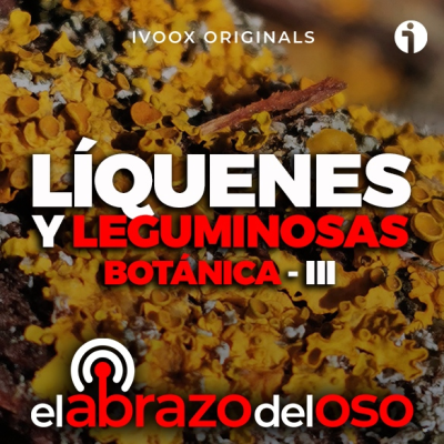 episode Líquenes y Leguminosas - Botánica III artwork