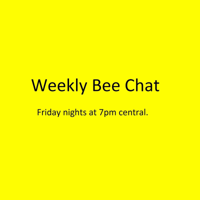 Weekly Bee Chat