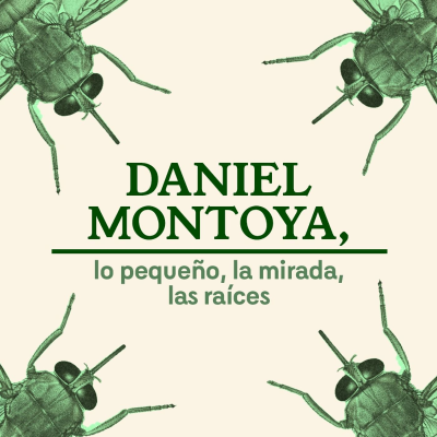 episode #10 Daniel Montoya, lo pequeño, la mirada, las raíces artwork