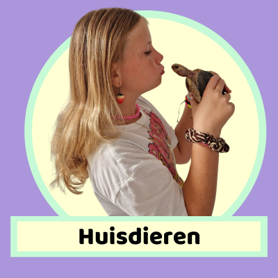 episode S3 Afl. 10 - Huisdieren artwork