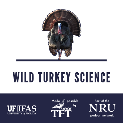 episode Habitat management IS predator management | Wild Turkey Science #449 artwork