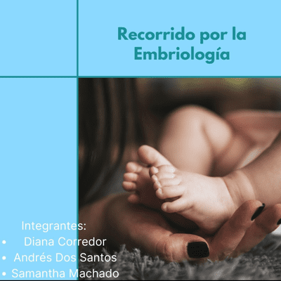 episode Recorrido por la embriología artwork
