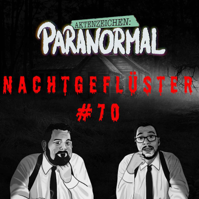 episode Aktenzeichen Nachtgeflüster #70 Erlebnisse der Community artwork