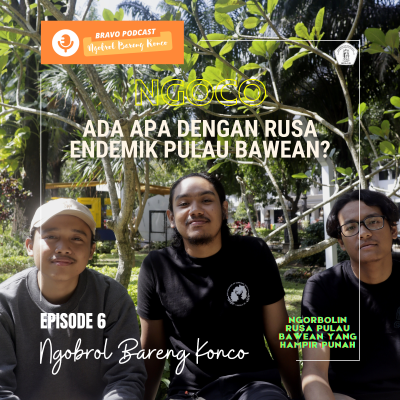 episode NGOCO EPS. 6 ADA APA DENGAN RUSA ENDEMIK PULAU BAWEAN? | NGOBROLIN RUSA PULAU PULAU BAWEAN YANG HAMPIR PUNAH artwork