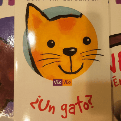 CUENTO INFANTIL VEO VEO UN GATO