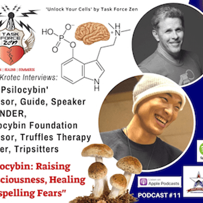 episode Ep: 011 – Psilocybin: Raising Consciousness, Healing & Dispelling Fears artwork