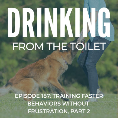 episode Podcast #187: Training Faster Behaviors Without Frustration, Part 2 artwork