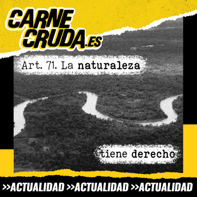 episode Yo acuso: un río o el mar pueden denunciarte(CARNE CRUDA #1506) artwork