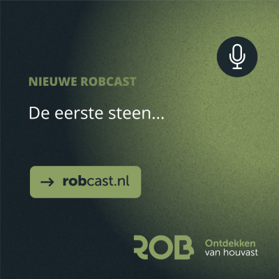 episode De eerste steen... artwork