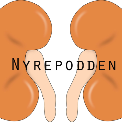 Nyrepodden