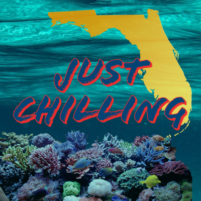 episode Lil Intro To Just Chilling artwork