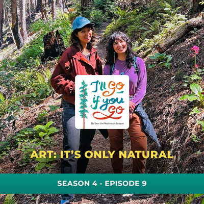 episode Art: it’s only natural artwork