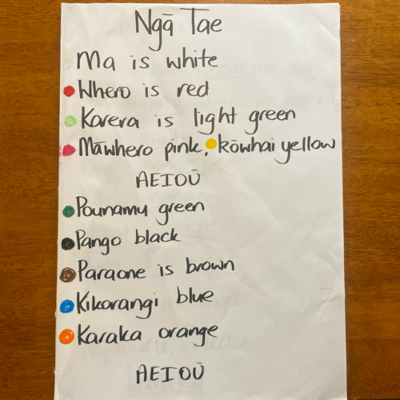episode Ngā Tae o ngā rākau artwork