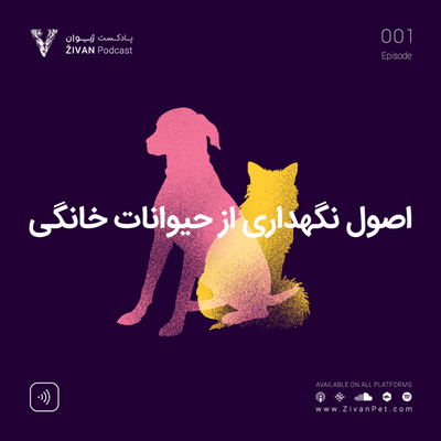 episode اصول نگهداری از حیواناتخانگی artwork