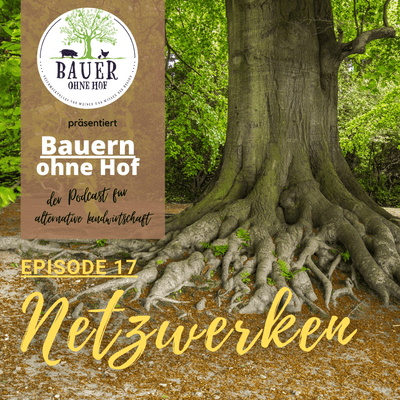episode Episode 17 - Netzwerken artwork