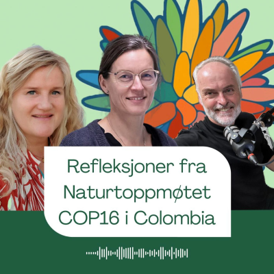 episode Refleksjoner fra naturtoppmøtet COP16 i Colombia artwork