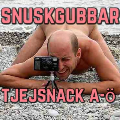 episode snuskgubbar artwork