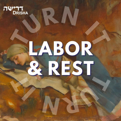 episode What Does the Torah Say about [Modern] Economics? (6/6) with Rabbi Jonathan Ziring artwork