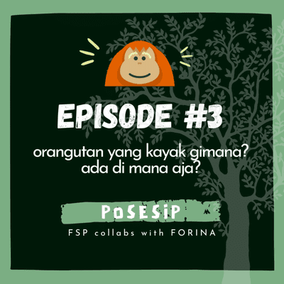 episode #3: orangutan yang kayak gimana bentuknya? ada di mana aja? (bersambung) artwork