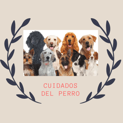 episode Cuidados del perro. artwork