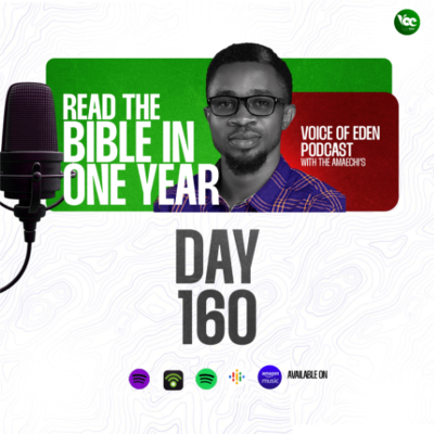 episode BIBLE IN ONE YEAR (DAY160) artwork