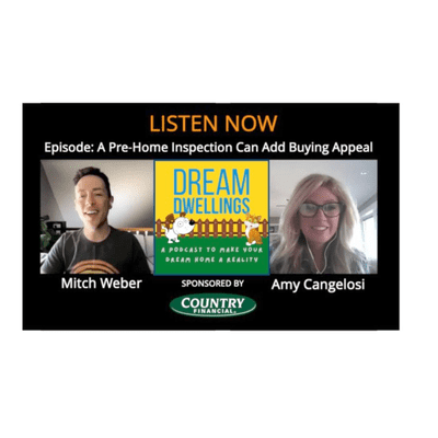 episode A Pre-Home Inspection Can Add Buying Appeal artwork