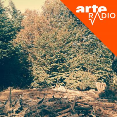 episode Ecouter le monde (2/4) : Le chasseur de silence artwork