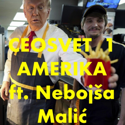 episode CEOSVET: AMERIKA Nebojša Malić o novinarstvu i izborima artwork