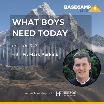 episode What Boys Need Today with Fr. Mark Perkins artwork