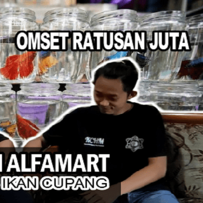 episode Tips Sukses Usaha Ikan Hias Cupang - Modal Kecil untuk Pemula artwork