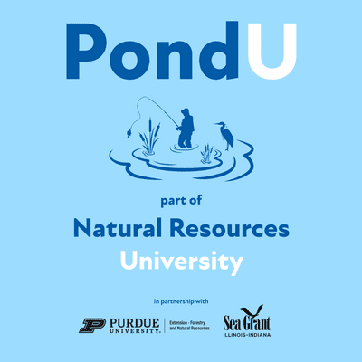 episode Episode 11 - What's in My Water? Understanding Water Chemistry for Better Pond Management artwork