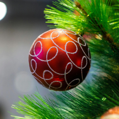 episode The Home Squad: Hosting guests for Christmas artwork