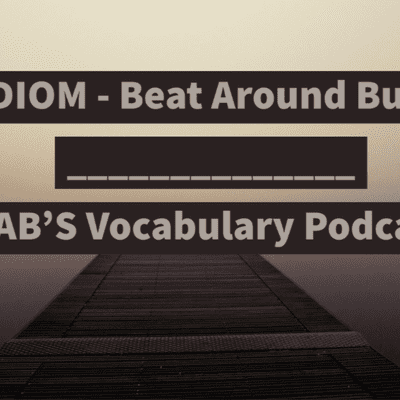 episode Daily IDIOM - The IDIOM - BEAT AROUND THE BUSH - Episode 2 artwork