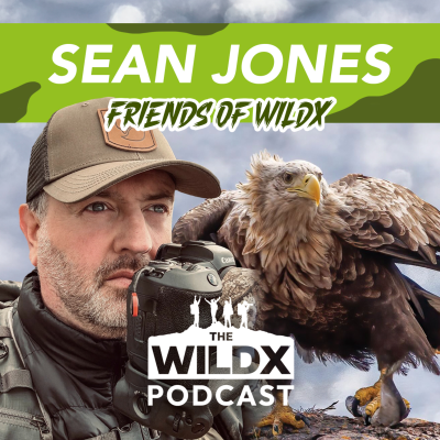 episode Episode 29 - SEAN JONES - Friends of WildX - Special artwork