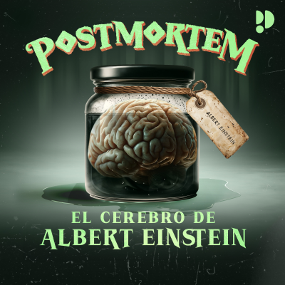 episode El cerebro de Albert Einstein artwork
