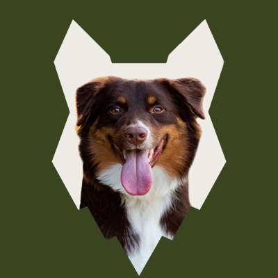 Cover image of show Fenrir Australian Shepherd Podcast