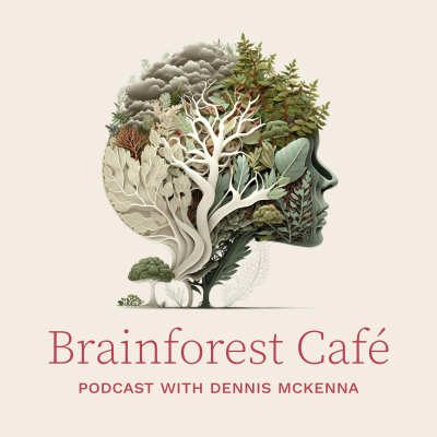 Cover image of show Brainforest Café