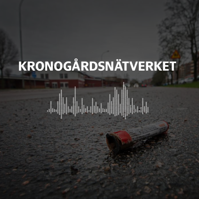 episode Kronogårdsnätverket artwork