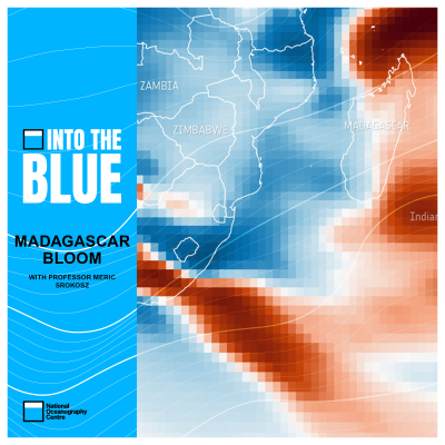 episode How an Unusual 'Bloom' Positively Affected Marine Life and the Atmosphere | Into the Blue Podcast artwork