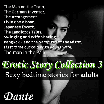 episode Erotic Story Collection 3 artwork
