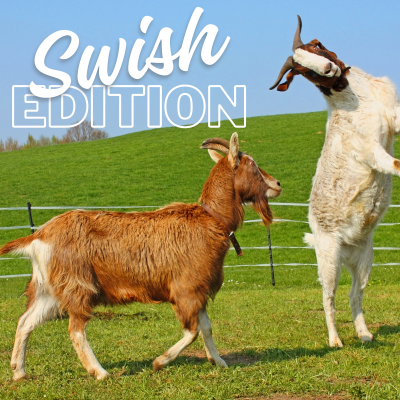 episode Jonas Bros. Christmas Movie, Product Placement on TV, Target Employees Must Smile artwork