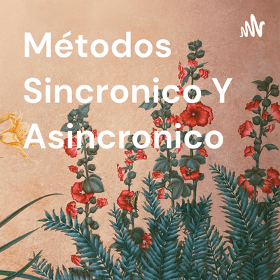 Métodos Sincronico Y Asincronico