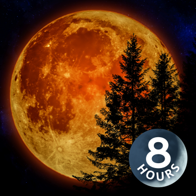 episode White Noise for Sleeping 8 Hours | Perfect for Autumn! artwork