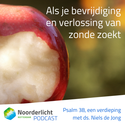 episode Psalm 38: Als je bevrijding en verlossing van zonde zoekt artwork
