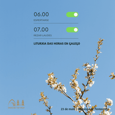episode Tempo de Pascua | Domingo de Pentecoste artwork