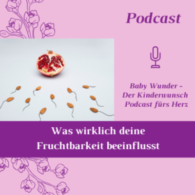 episode Was wirklich deine Fruchtbarkeit beeinflusst artwork