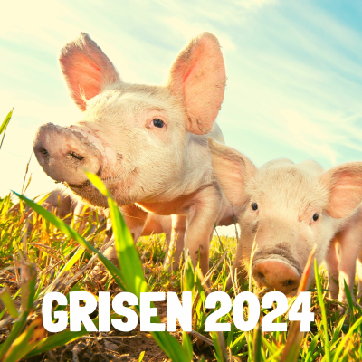 episode Grisen 2024 - Episode 47: Influenza i husdyrproduktionen artwork