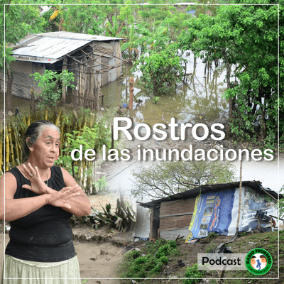 episode Rostros de las inundaciones - Radio Progreso artwork