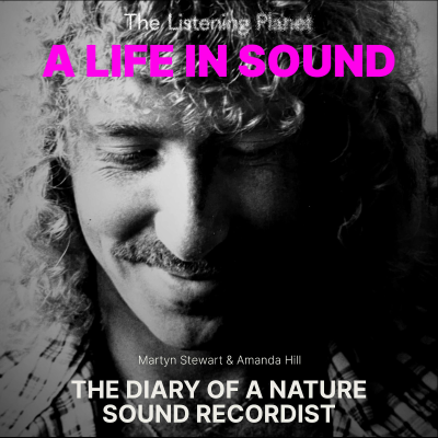 A LIFE IN SOUND